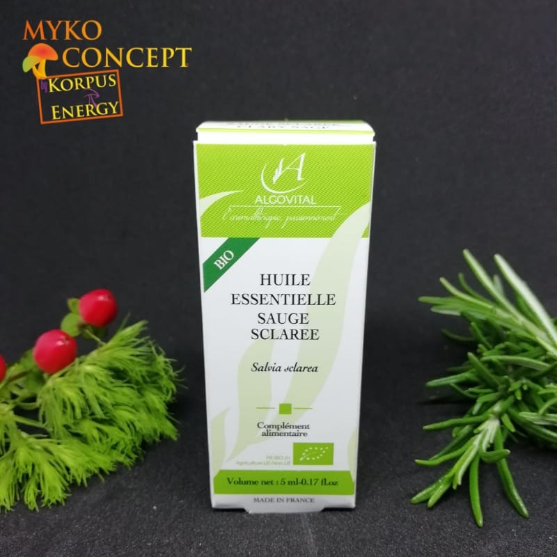 Salvia sclarea - MykoConcept Svizzera