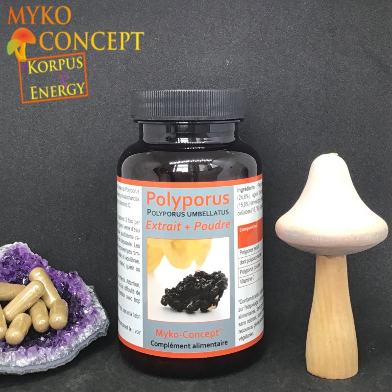 Polyporus - Myko-concept