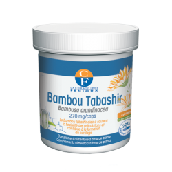 Bambou cure - 540