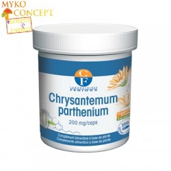 Chrysanthemum Parthenium