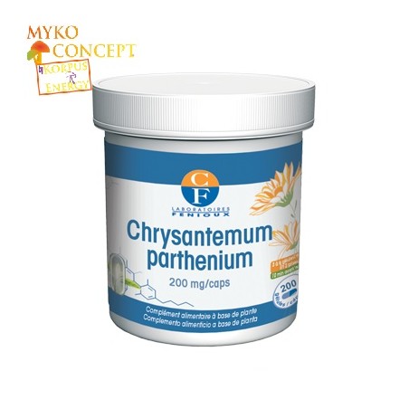 Chrysanthemum Parthenium