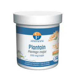 Plantain - 200 gélules