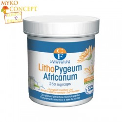Lithopygeum africanum