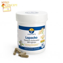 Lapacho