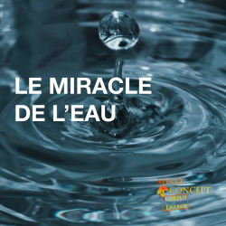LA MIRACLE DELL'ACQUA - Il messaggio dell'acqua del nostro DNA, l'importanza dell'acqua nella vita quotidiana.